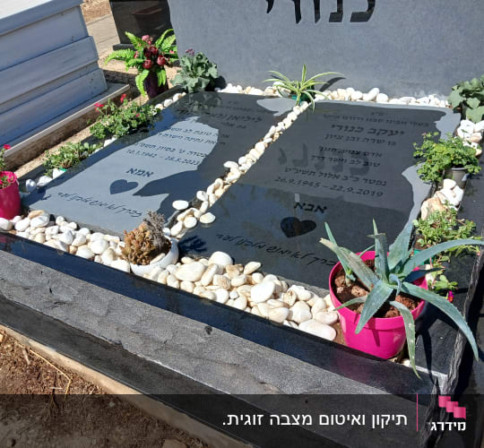 מצבה עם צמחים ועיצוב אבנים לבנות
